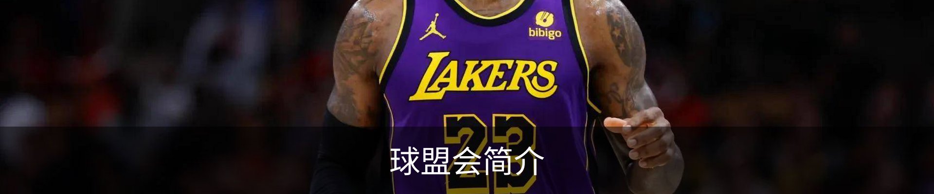 球盟会简介